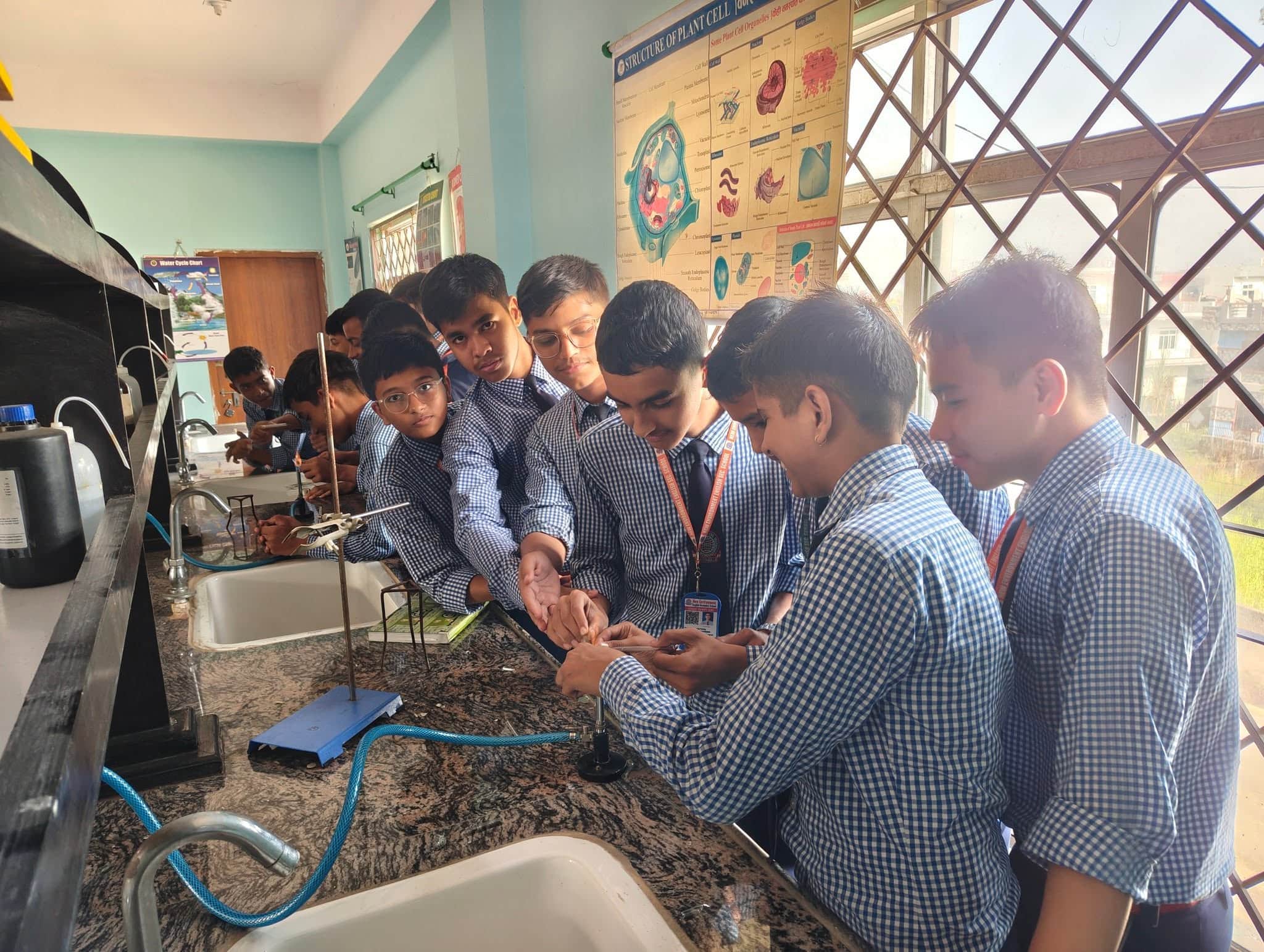 Lab