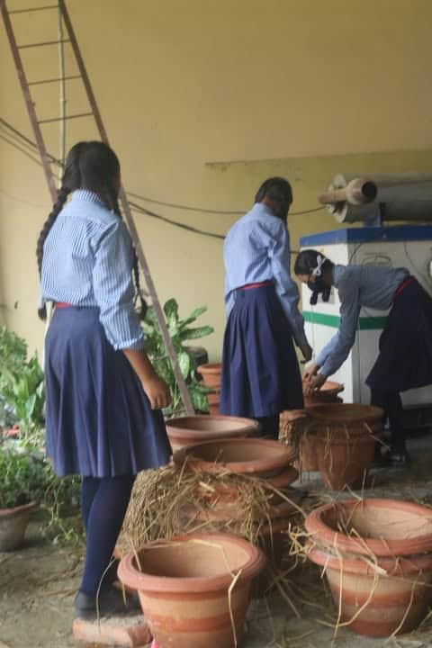 Green Campus & Community Tree Plantation Drive: Planting Roots for a Greener Tomorrow